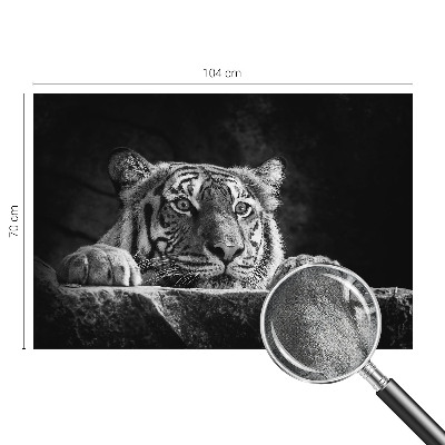 Mural de pared con estampado hermoso Mirada depredadora