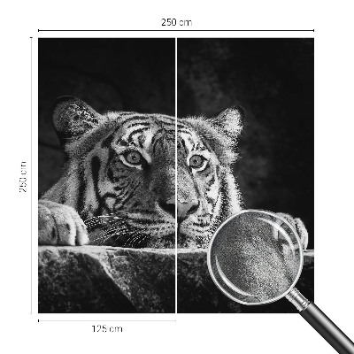 Mural de pared con estampado hermoso Mirada depredadora