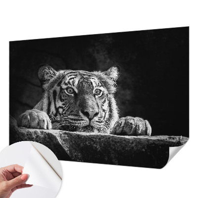 Mural de pared con estampado hermoso Mirada depredadora