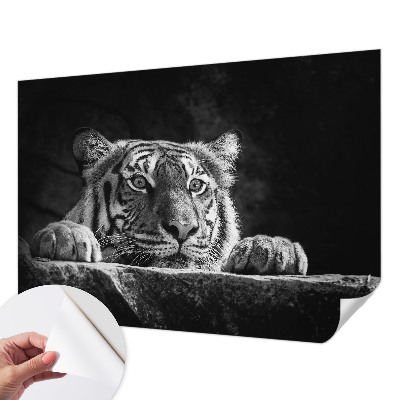 Mural de pared con estampado hermoso Mirada depredadora