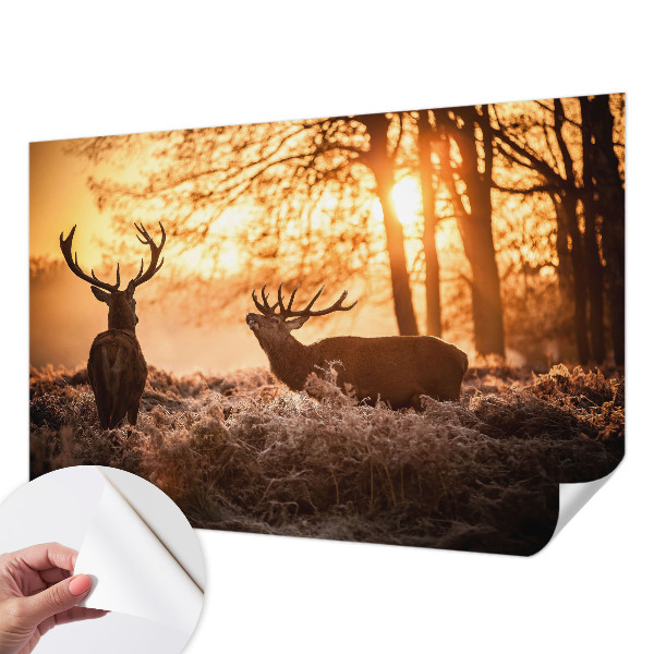 Papel mural con patrón decorativo Ciervos por la mañana