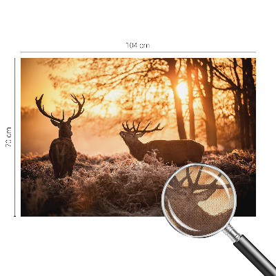 Papel mural con patrón decorativo Ciervos por la mañana