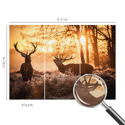 Papel mural con patrón decorativo Ciervos por la mañana