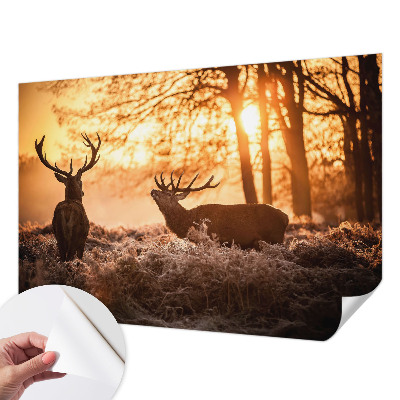 Papel mural con patrón decorativo Ciervos por la mañana