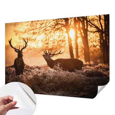 Papel mural con patrón decorativo Ciervos por la mañana