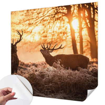 Papel mural con patrón decorativo Ciervos por la mañana