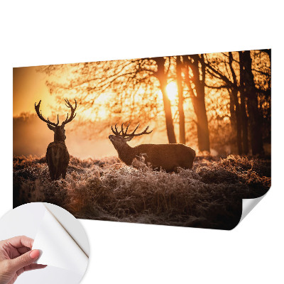 Papel mural con patrón decorativo Ciervos por la mañana