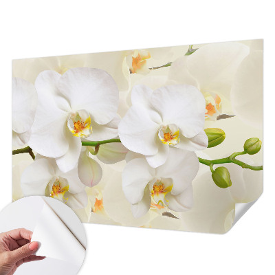 Mural de pared con estampado hermoso con motivo de riqueza floral