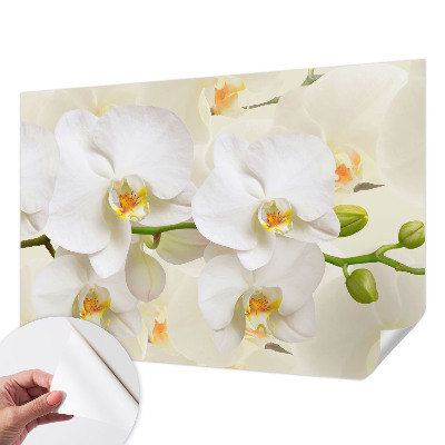 Mural de pared con estampado hermoso con motivo de riqueza floral
