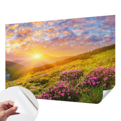 Papel mural con patrón decorativo con diseño «Montaña Oeste»