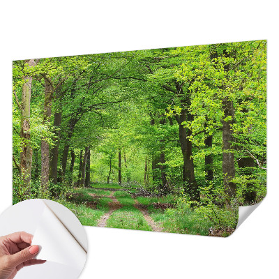 Mural de pared con estampado hermoso con motivo de sendero forestal