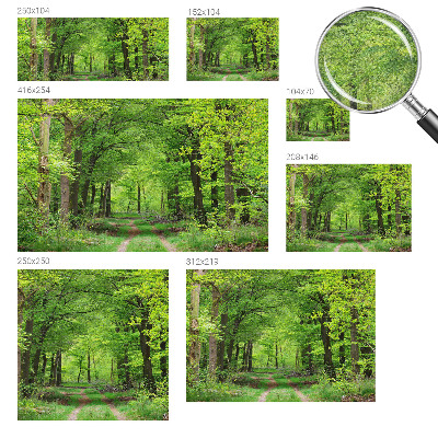 Mural de pared con estampado hermoso con motivo de sendero forestal