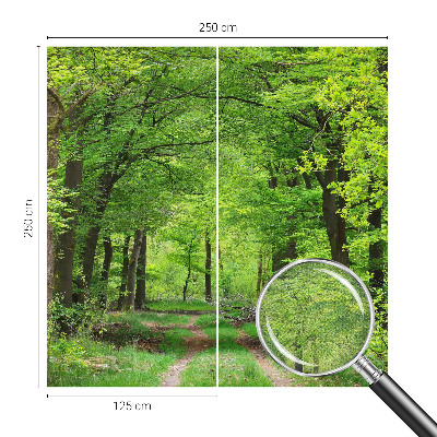 Mural de pared con estampado hermoso Sendero forestal