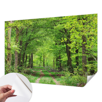 Mural de pared con estampado hermoso con motivo de sendero forestal
