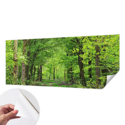 Mural de pared con estampado hermoso con motivo de sendero forestal