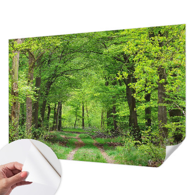 Mural de pared con estampado hermoso con motivo de sendero forestal