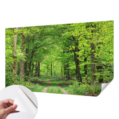 Mural de pared con estampado hermoso con motivo de sendero forestal