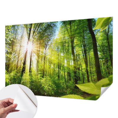 Papel mural texturado decorativo con diseño 