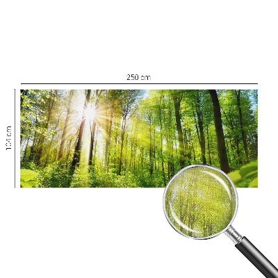 Papel mural texturado decorativo Luz del bosque