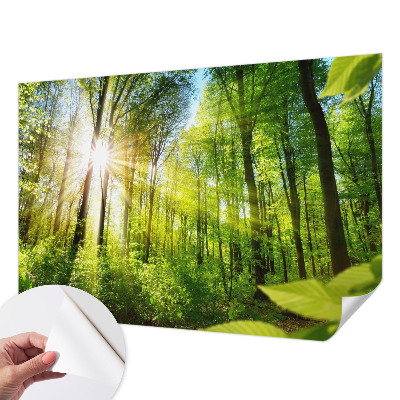 Papel mural texturado decorativo Luz del bosque