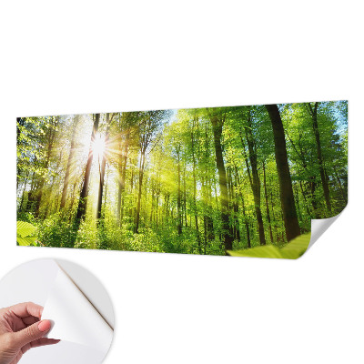 Papel mural texturado decorativo Luz del bosque