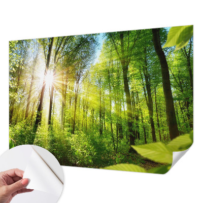 Papel mural texturado decorativo Luz del bosque