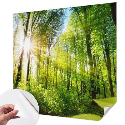 Papel mural texturado decorativo Luz del bosque