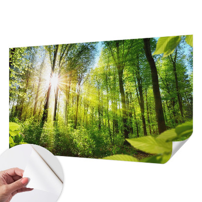 Papel mural texturado decorativo Luz del bosque