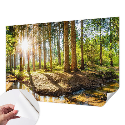 Papel mural con patrón decorativo Idilio forestal