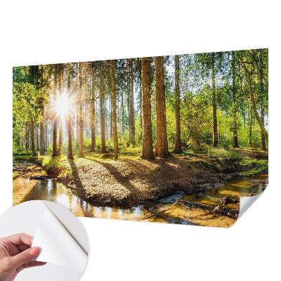 Papel mural con patrón decorativo Idilio forestal