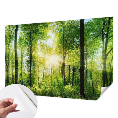 Fotomural decorativo para cabecero de cama con el diseño 