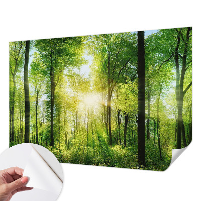 Fotomural decorativo para cabecero de cama con el diseño 