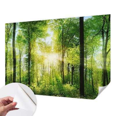Fotomural decorativo para cabecero de cama con el diseño 