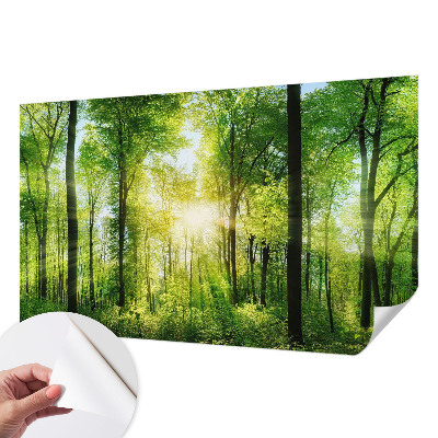 Fotomural decorativo para cabecero de cama con el diseño 
