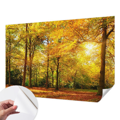 Mural de pared con estampado hermoso hojas doradas