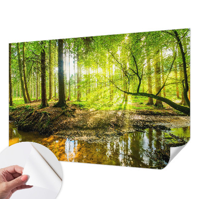 Fotomural decorativo para cabecero de cama con un paisaje verde