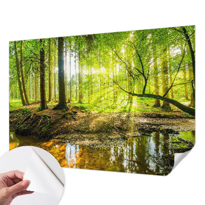 Fotomural decorativo para cabecero de cama con un paisaje verde
