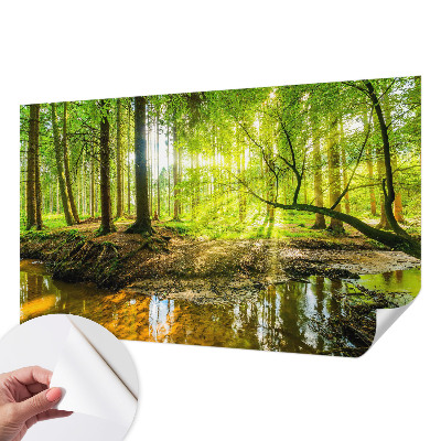 Fotomural decorativo para cabecero de cama con un paisaje verde