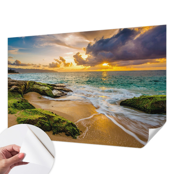 Papel mural con patrón decorativo con el diseño 'Armonía marítima'