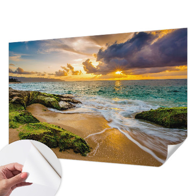 Papel mural con patrón decorativo con el diseño 'Armonía marítima'