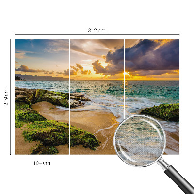 Papel mural con patrón decorativo Armonía marítima