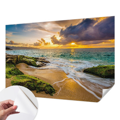 Papel mural con patrón decorativo con el diseño 'Armonía marítima'