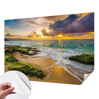 Papel mural con patrón decorativo con el diseño 'Armonía marítima'