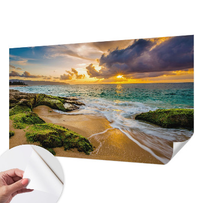Papel mural con patrón decorativo con el diseño 'Armonía marítima'