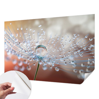 Fotomural decorativo para cabecero de cama con el diseño 'Una gota sobre un diente de león'