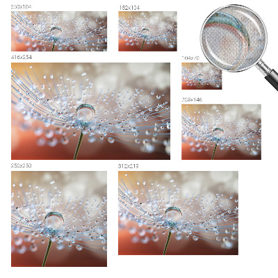 Fotomural decorativo para cabecero de cama con el diseño 'Una gota sobre un diente de león'