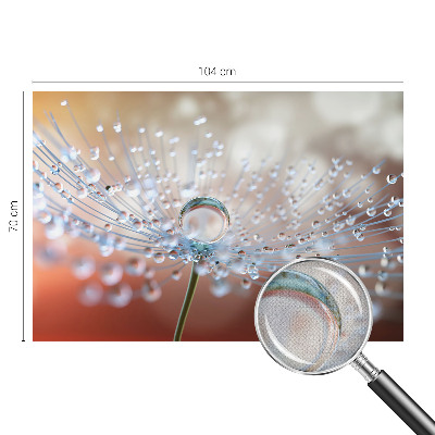 Fotomural decorativo para cabecero de cama con el diseño 'Una gota sobre un diente de león'