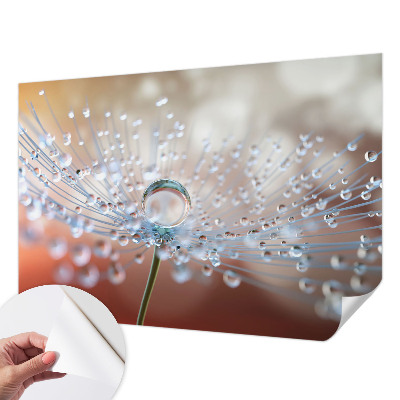 Fotomural decorativo para cabecero de cama con el diseño 'Una gota sobre un diente de león'