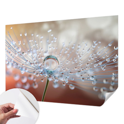 Fotomural decorativo para cabecero de cama con el diseño 'Una gota sobre un diente de león'