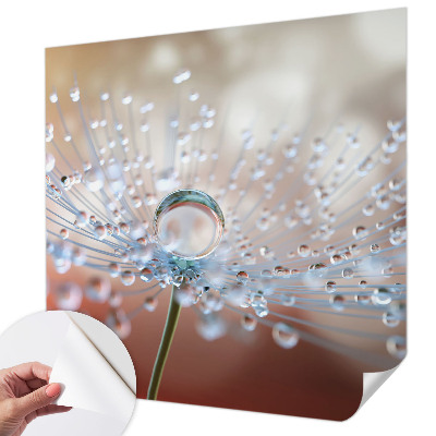 Fotomural decorativo para cabecero de cama con el diseño 'Una gota sobre un diente de león'